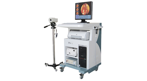 ����ǻ��������